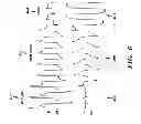 Fig. 07 - Methods for tissue ablation measurement and control and devices thereof