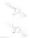 Fig. 03 - Trephine