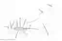 Fig. 01 - POSITIONING TOOL FOR ANASTOMOSIS
