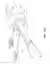 Fig. 49 - Minimally invasive surgical devices and methods