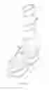 Fig. 02 - Methods for treating spine pathologies