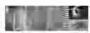 Fig. 01 - Biodegradable vascular grafts
