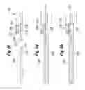 Fig. 12 - Blood flow controlling apparatus