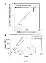 Fig. 06 - Membrane-Scaffold Composites for Tissue Engineering Applications