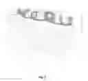 Fig. 03 - Joint bioscaffolds
