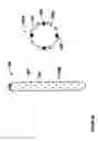 Fig. 19 - Modular, adjustable, prosthetic, hip/shoulder spacer