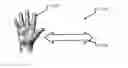 Fig. 01 - STORING USER GESTURES IN A USER PROFILE DATA TEMPLATE