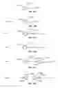 Fig. 18 - Automatic Alert Sent to User Based on Host Location Information