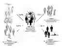 Fig. 01 - Methods and Systems for Generation of Personalized Health Plans