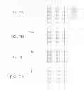 Fig. 07 - SCHEDULING SYSTEM AND METHOD FOR DISTRIBUTION OF PERISHABLE LOADS OF PRE-MIXED CONCRETE TO MULTIPLE SITES