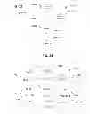 Fig. 17 - PHYSICALLY-BASED FINANCIAL ANALYSIS AND/OR FORECASTING METHODS, APPARATUS, AND SYSTEMS