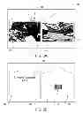 Fig. 03 - Photographic mementos