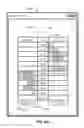 Fig. 09 - Configurable Non-Numeric Quantity Data Feed Display