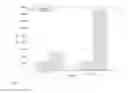 Fig. 13 - Aggregate query-caching in databases architectures with a differential buffer and a main store