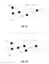 Fig. 02 - Expanding a social network by the action of a single user