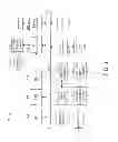Fig. 02 - Identification and classification of web traffic inside encrypted network tunnels