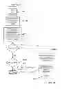 Fig. 43 - VEHICLE AND DEVICE SOFTWARE UPDATES PROPAGATED VIA A VIRAL COMMUNICATION CONTACT