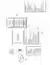 Fig. 02 - Electronic book that can communicate directly with hardware devices via a keyboard API interface