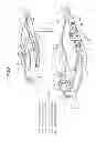 Fig. 06 - Disk drive having chasses with rectifying plates