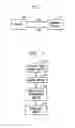 Fig. 02 - Execution-based license discovery and optimization