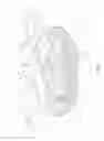 Fig. 04 - Omnidirectional automatic swimming pool cleaners