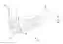 Fig. 08 - Omnidirectional automatic swimming pool cleaners