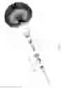 Fig. 09 - Cleaning apparatus