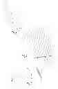 Fig. 02 - Drying devices