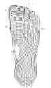Fig. 01 - SHOE ADAPTED TO THE SHAPE OF THE FOOT