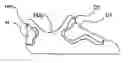 Fig. 01 - Footwear for Use in Specialized Activities