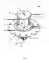 Fig. 03 - INSECT TRAP HAVING A DESIGN THAT RESEMBLES A BIOLOGICAL DESIGN
