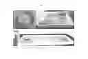 Fig. 02 - Bed bug lures