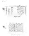 Fig. 08 - DRINK FILLING METHOD AND DRINK FILLING SYSTEM