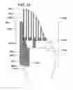 Fig. 22 - Filter element