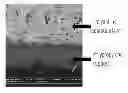 Fig. 01 - POLANILINE BASED MEMBRANES FOR SEPARATION OF CARBON DIOXIDE AND METHANE