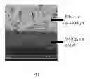 Fig. 02 - POLANILINE BASED MEMBRANES FOR SEPARATION OF CARBON DIOXIDE AND METHANE