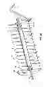 Fig. 05 - Rotary screw blancher
