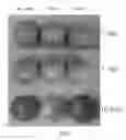 Fig. 09 - Storage apparatus for improving food preservation