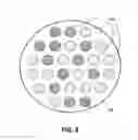 Fig. 09 - Multi-Region Processing System and Heads