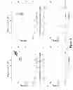 Fig. 09 - Compositions and methods useful for ionic liquid treatment of biomass