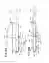 Fig. 28 - Breathing apparatus and method for the use thereof