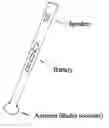 Fig. 01 - Talking cane