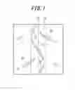 Fig. 02 - Pneumatic tire for motorcycle
