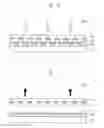 Fig. 07 - Method for fabricating an embedded pattern using a transfer-based imprinting