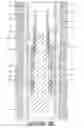 Fig. 10 - Downhole plug apparatus