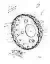 Fig. 02 - Brake disc