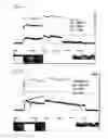 Fig. 05 - Reactive sputtering process