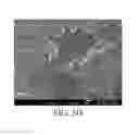 Fig. 09 - Method for manufacturing a graphene layer