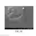 Fig. 10 - Method for manufacturing a graphene layer