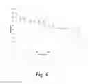 Fig. 07 - ELECTRORECOVERY OF GOLD AND SILVER FROM THIOSULPHATE SOLUTIONS